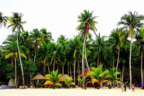 嘉吉基铁板鸡扒饭