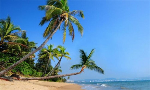 信宜市开店创业护理护肤招商加盟好项目推荐，信宜养生会所