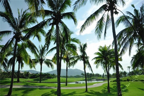 榕江县加盟三顾冒菜正常几年回本