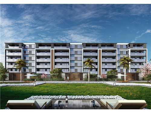 嫩黄豆炒草菇可以吃吗（草菇和黄豆可以一起吃吗?）