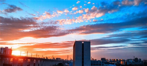 蜘蛛升级的小游戏是什么（蜘蛛升级大招有什么用）