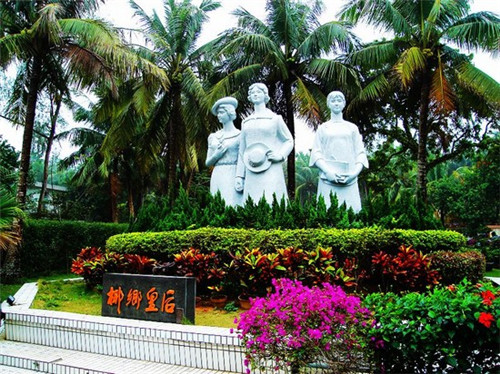蚕豆病可以吃炒豆苗吗（蚕豆病可以吃别的豆吗）