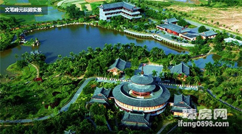 为什么救救小游戏恐龙（救小恐龙的游戏）